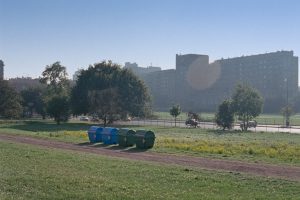 Matera, errori nella raccolta differenziata: attenzione ai materiali